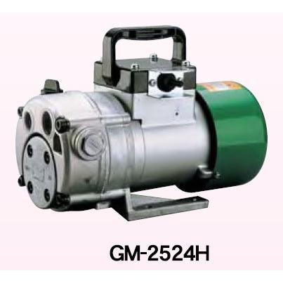 工進 コーシン 高粘度用電動ハンディオイルポンプ  200W DC24V [GM-2524H]