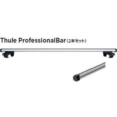THULE（スーリー） キャリア プロフェッショナルキャリア 強化バー 