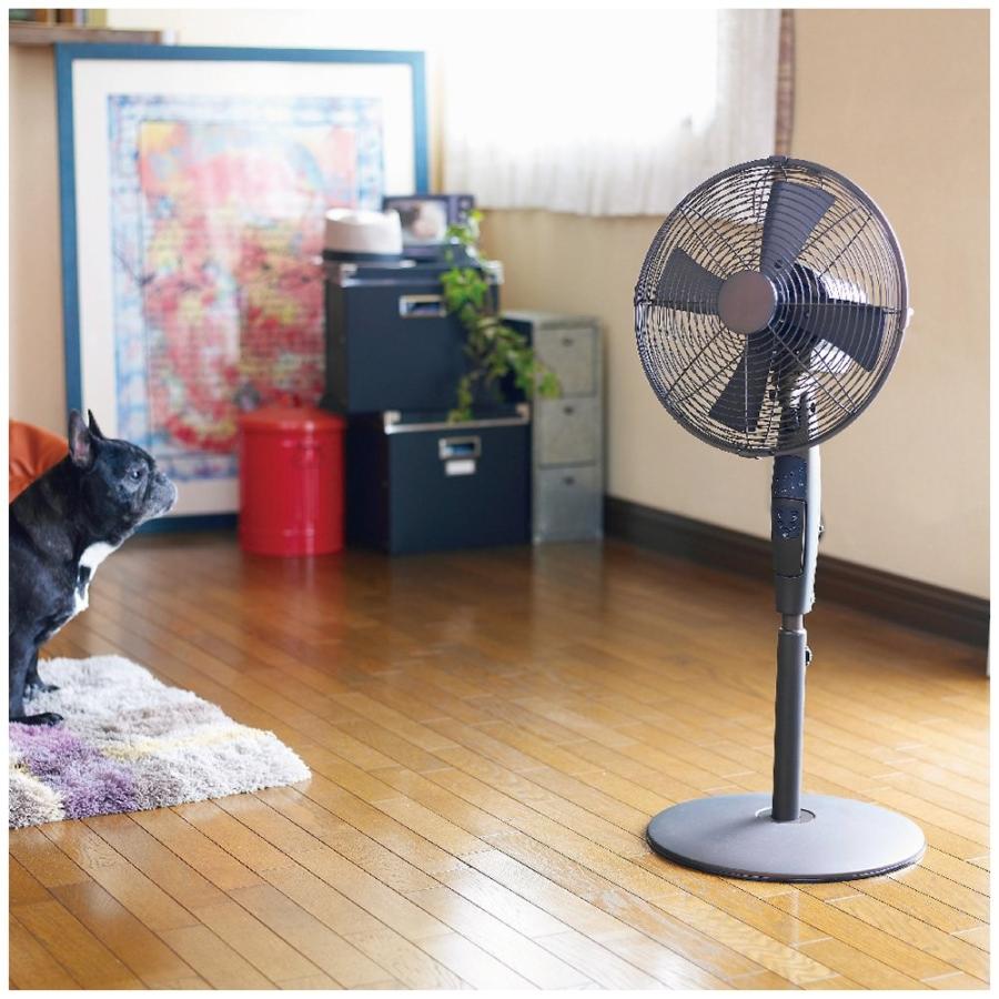 即納 大特価 のピエリアリビング扇風機レトロリビングファンメタル製リモコン式30cm ブラウンrir 350 Br 激安上質先着の