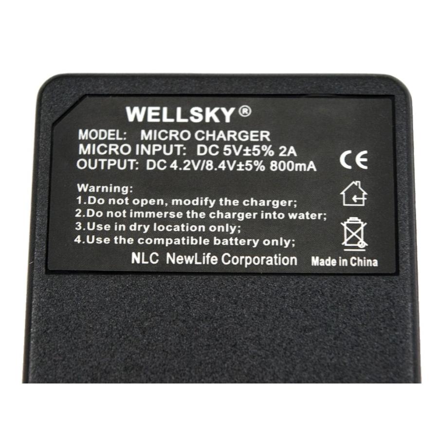 SZ DMW-BCF10 DMW-BCK7 用 DMW-BTC1 / DMW-BTC8 USB Type-C [ 超軽量 