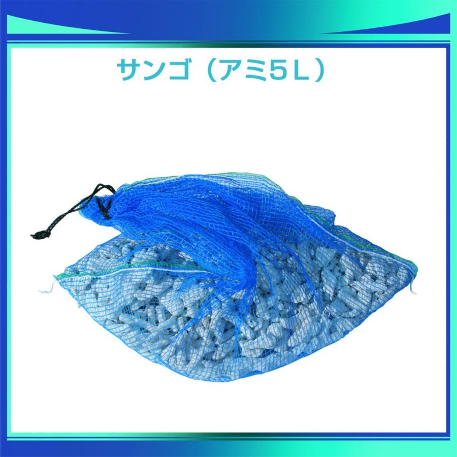 サンゴ（5Ｌ）