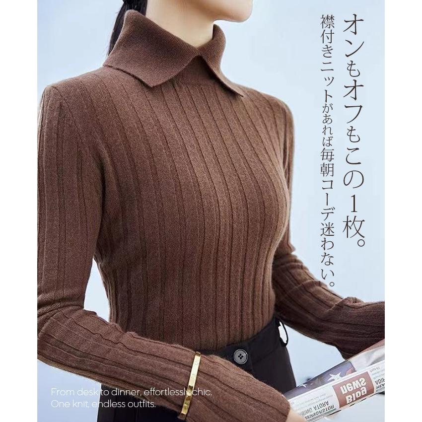 タイムセール‼️acne studios トップス　タートルニット　ダークブラウン Acne Studios(アクネストゥディオス) ニット・セーター