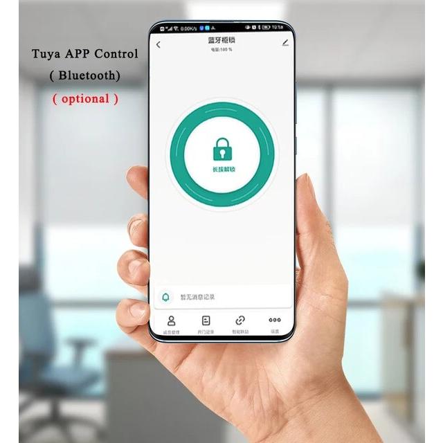 Tuya-生体認証パスワードロック,リモート制御,指紋,電気コード,キー付きシングルラッチドアロック｜newold-goods｜25