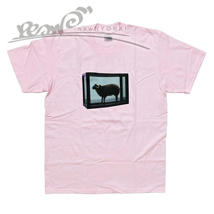 Supreme（シュプリーム） 送料無料 メンズ Tシャツ ライトピンク 