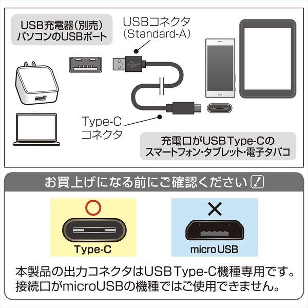 Type-C ケーブル 3A 対応 1.2m ブラック Android QuickCharge 3.0 対応 テレワーク リモート 在宅勤務 seena Newseed |  | 04