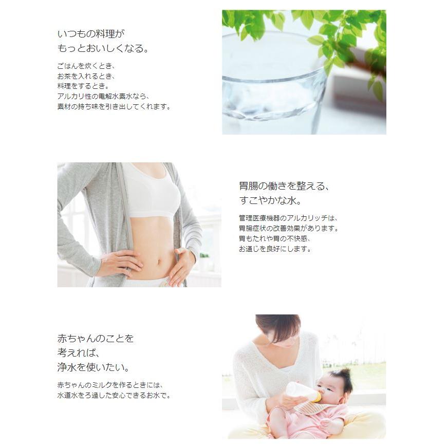 NDX-501LM ビルトインタイプ アルカリッチ アンダーシンク型電解水素水生成器 アルカリッチ NDX-501LM