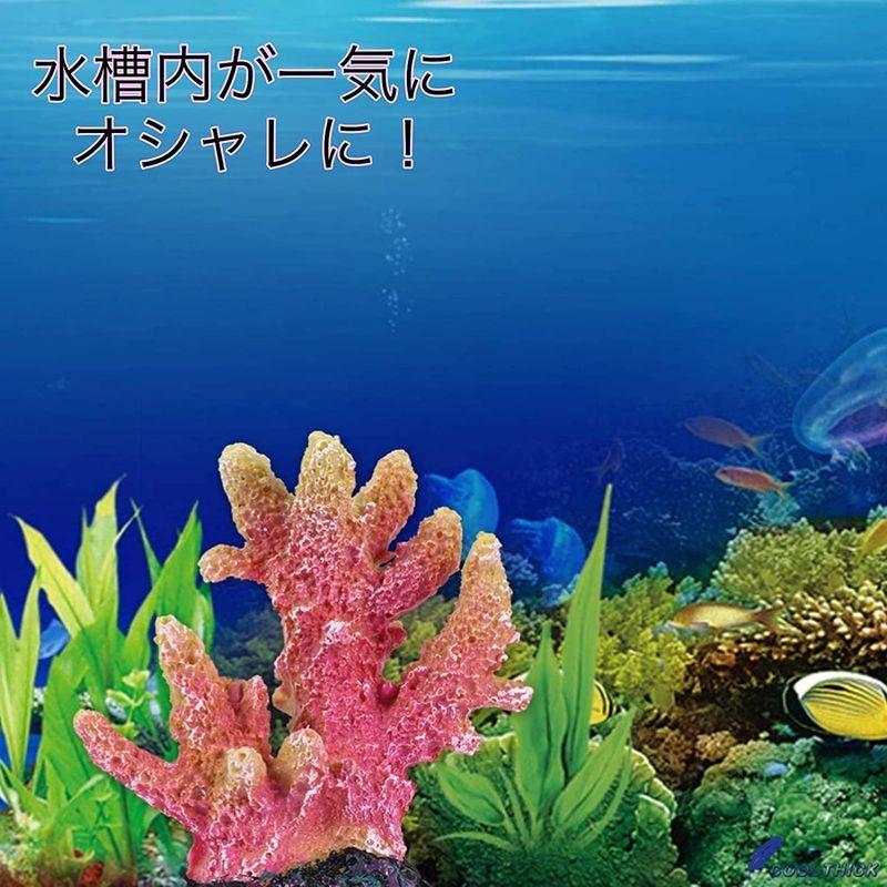 欲しいの Coral サンゴ インテリア 飾り Www Anavara Com
