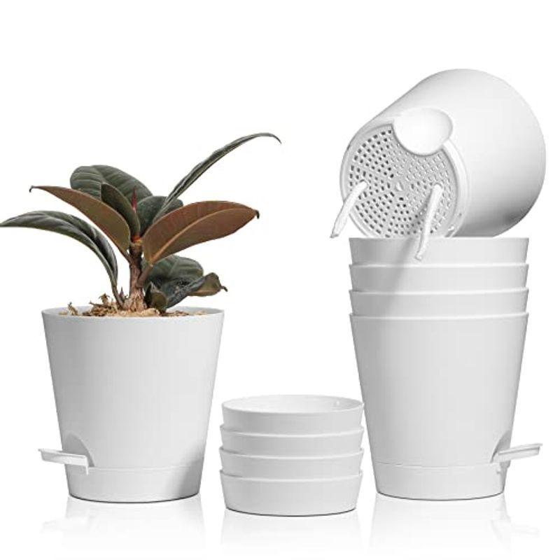 人気商品 現代風 円形 専用給水口付き 直径14cm 給水プランター プラスチック製 植木鉢 T4u フラワーポット 花栽培適 ハーブ 観葉植物 室内 鉢 プランターラック Www We Job Com