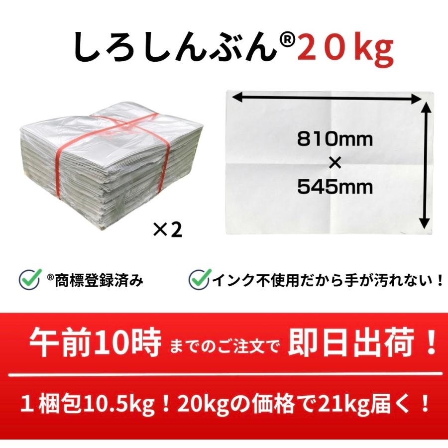 白新聞紙 20kg 1,120枚 業務用 810×545mm 10kgあたり2,370円 インクで