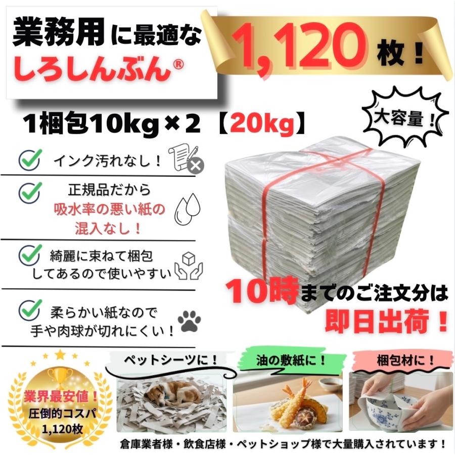 白新聞紙 20kg 1,120枚 業務用 810×545mm 10kgあたり2,370円 インクで