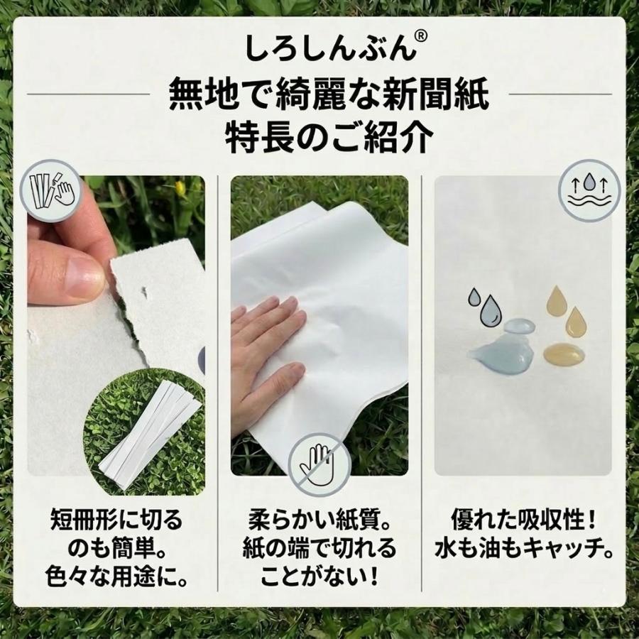 白新聞紙 20kg 1,120枚 業務用 810×545mm 10kgあたり2,370円 インクで