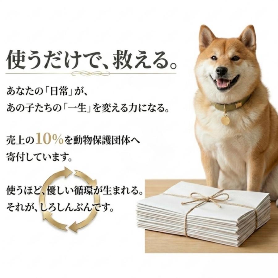 白新聞紙 20kg 1,120枚 業務用 810×545mm 10kgあたり2,370円 インクで