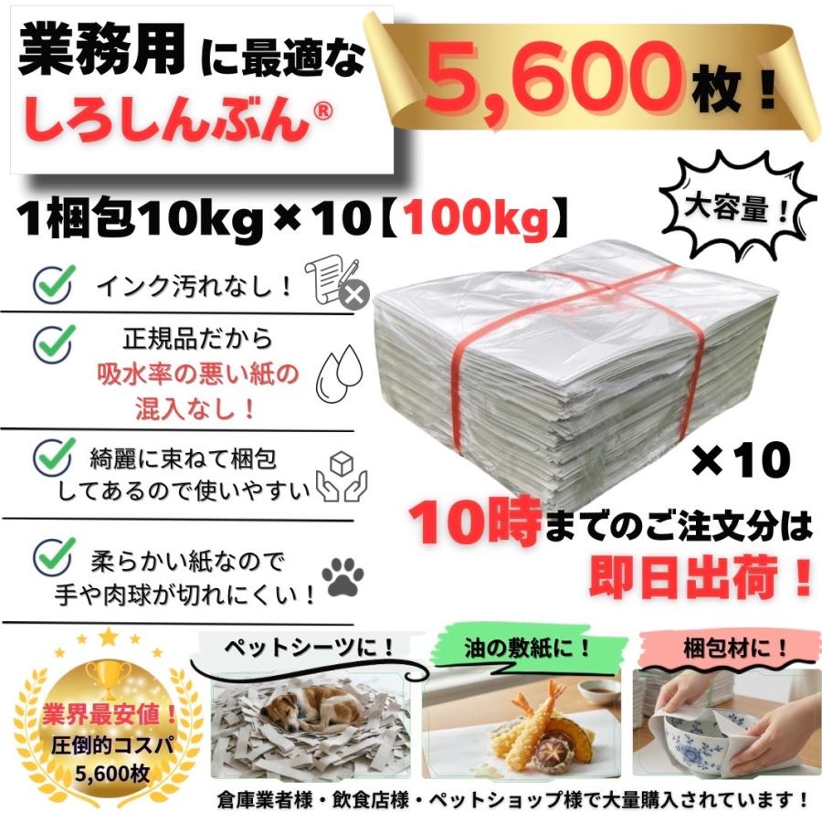 白新聞紙 100kg 5,600枚 業務用 810×545mm 10kgあたり2,300円 インクで