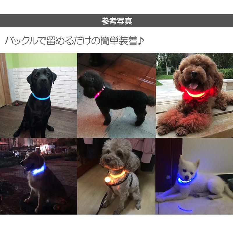 犬 首輪 光る LED キラキラ 光るバンド S/M/L 首バンド 夜間 散歩 夜 ペット リード ジョギング ウォーキング きらきらバンド 安全ライト 防止 点滅 ライト ins｜newstation｜10