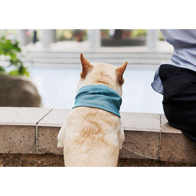 冷感 犬 猫 タオル クール 涼感 夏 ひんやり 保冷 首冷却 クールネック