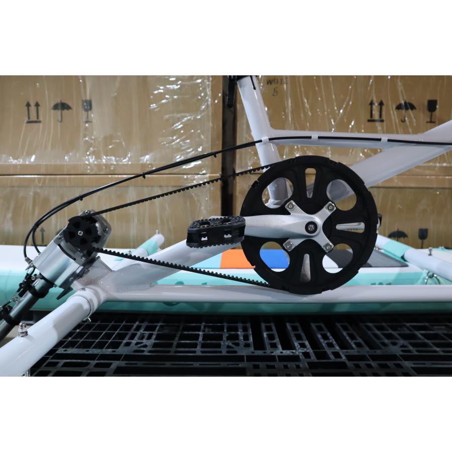 水上自転車 ウォーターバイク 水上サイクリング Whirligig beetle EXー 