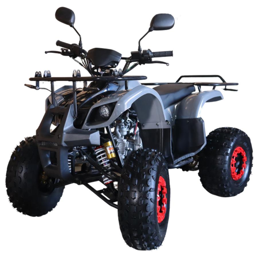 バギー 四輪 49cc ミニ ATV 4サイクルエンジン搭載 RZ-XJ-R : obg02 