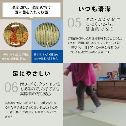 小上がり 畳 収納 ユニット畳 高床式ユニット畳 日本製 掘りこたつ 樹脂美草Aセット 160×160cm 高さ33cm 畳収納ボックス 収納畳 畳ベッド リビングの画像