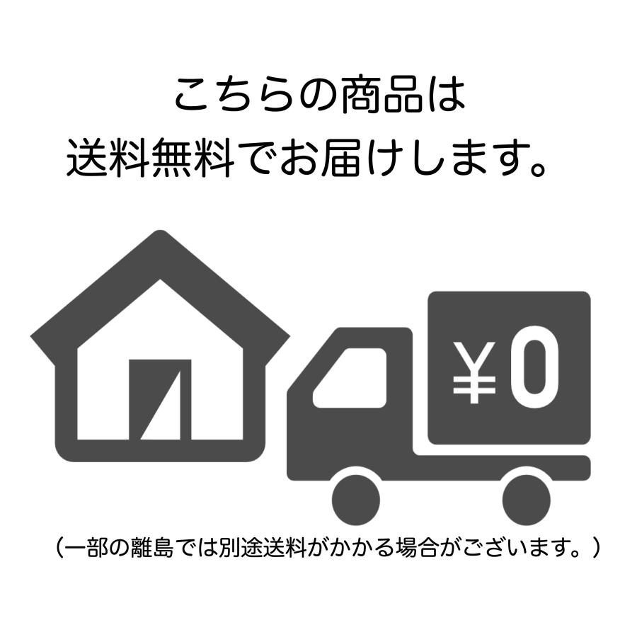 ロッドハンガーPRO 4個セット（ロッド2本分） 日本製 ROH-H040