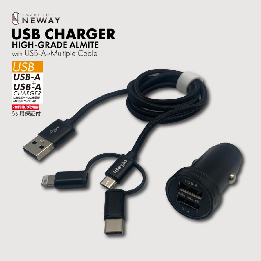 axs（アークス） idegia アルマイトDC充電器A+A＆マルチケーブル Type