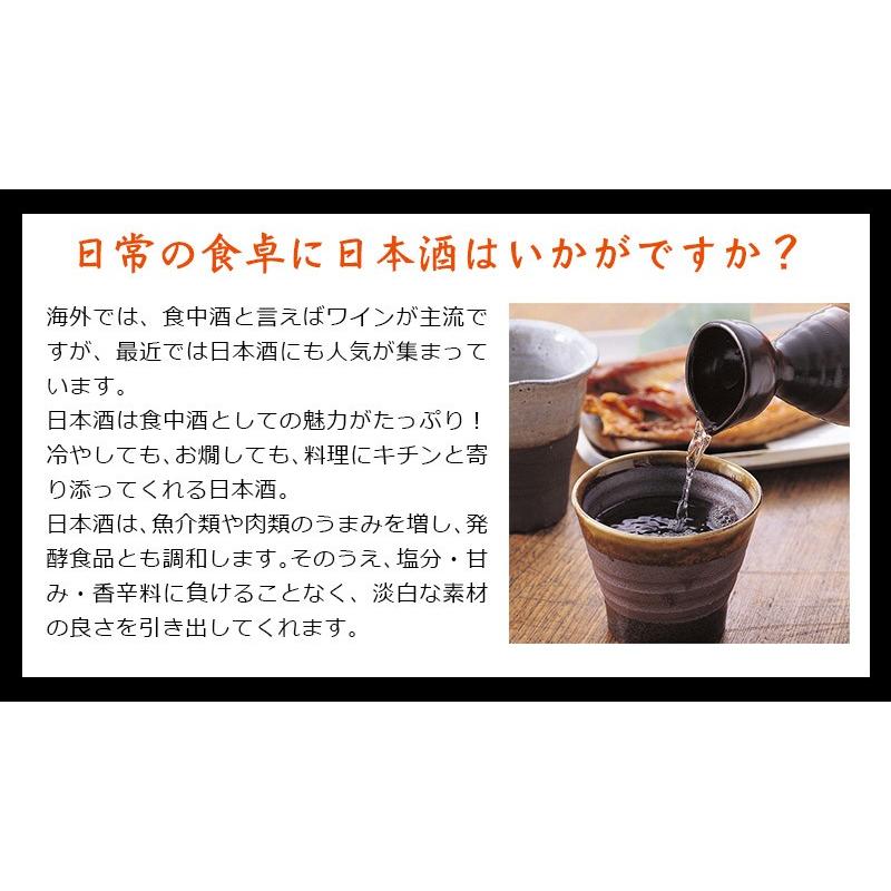 送料無料　食事に合う日本酒　食中酒飲み比べ6本セット　720ml&times;6本（北海道・沖縄＋890円）