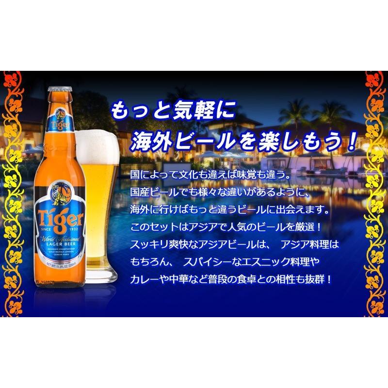 送料無料 海外ビール6種類12本飲み比べセット アジアンカンフー