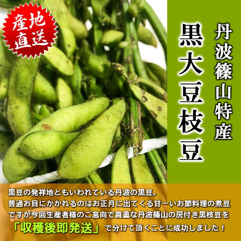 10 19〆 10 以降発送 今が旬 丹波篠山 黒大豆枝豆 房付き 1kg 3房 世界のお酒 ニューヨーク 通販 Paypayモール