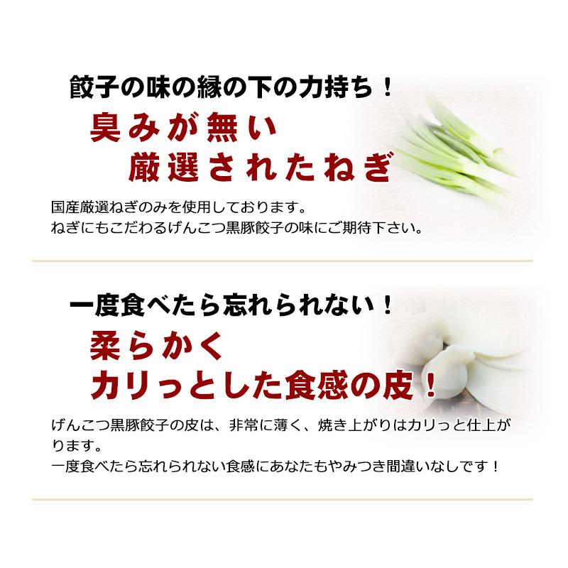 博多ラーメン　げんこつ　黒豚餃子96個　(48個入り×２袋)　送料無料　冷凍｜newyork19892005｜07