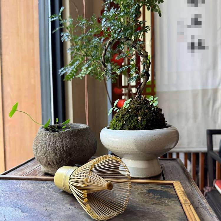 茶せん 茶道具 抹茶ツール 120本立 100本立 抹茶泡立て器 茶筌 和風 80