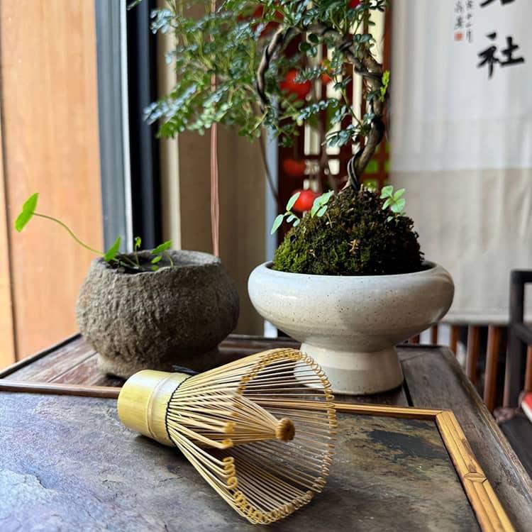 茶せん 茶道具 抹茶ツール 120本立 100本立 抹茶泡立て器 茶筌 和風 80