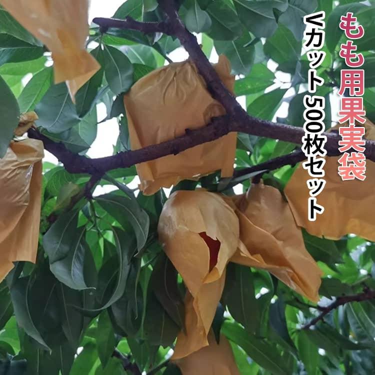桃の掛け袋 果樹 果実掛袋 防鳥 500枚セット もも用 果実袋 Vカット