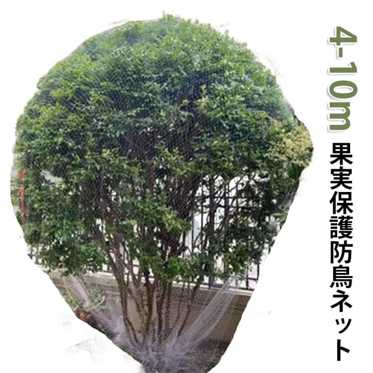 さくらんぼ 4m 果樹 8m 園芸 鳥除け網 防鳥網 5m ジャボチカバ 6m 保護