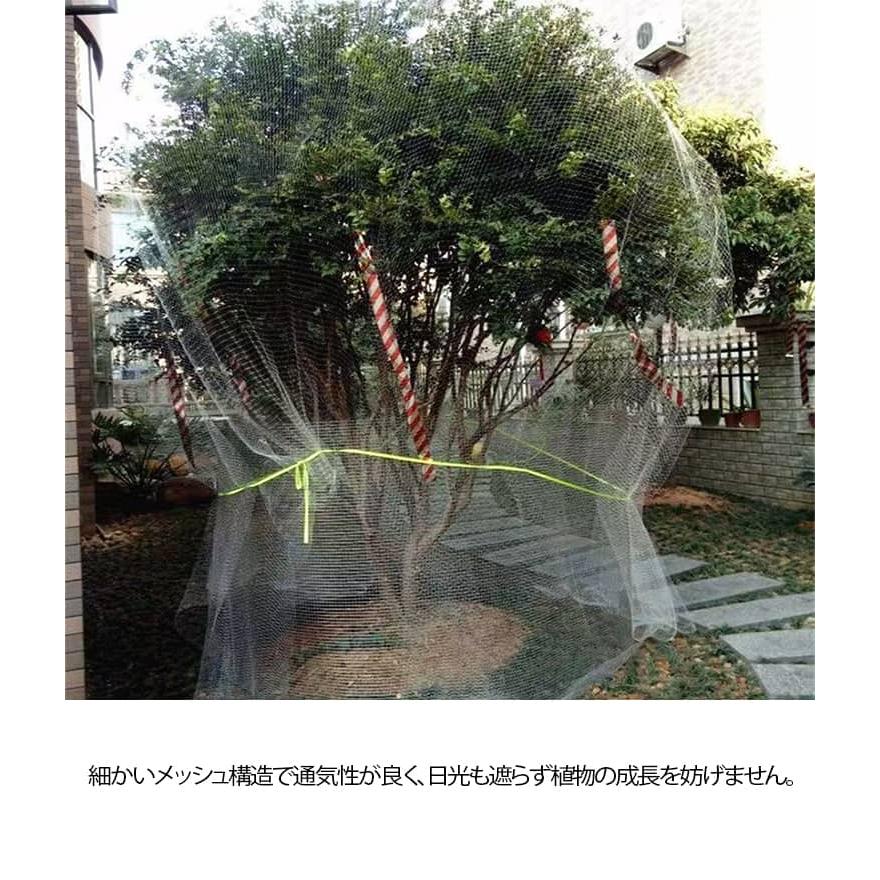 さくらんぼ 4m 果樹 8m 園芸 鳥除け網 防鳥網 5m ジャボチカバ 6m 保護