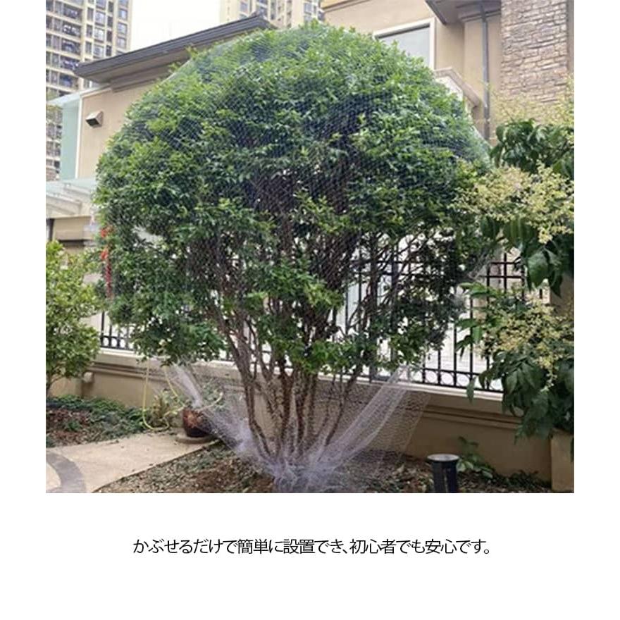 さくらんぼ 4m 果樹 8m 園芸 鳥除け網 防鳥網 5m ジャボチカバ 6m 保護