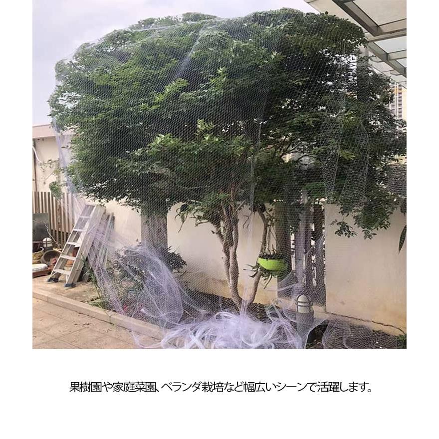 さくらんぼ 4m 果樹 8m 園芸 鳥除け網 防鳥網 5m ジャボチカバ 6m 保護