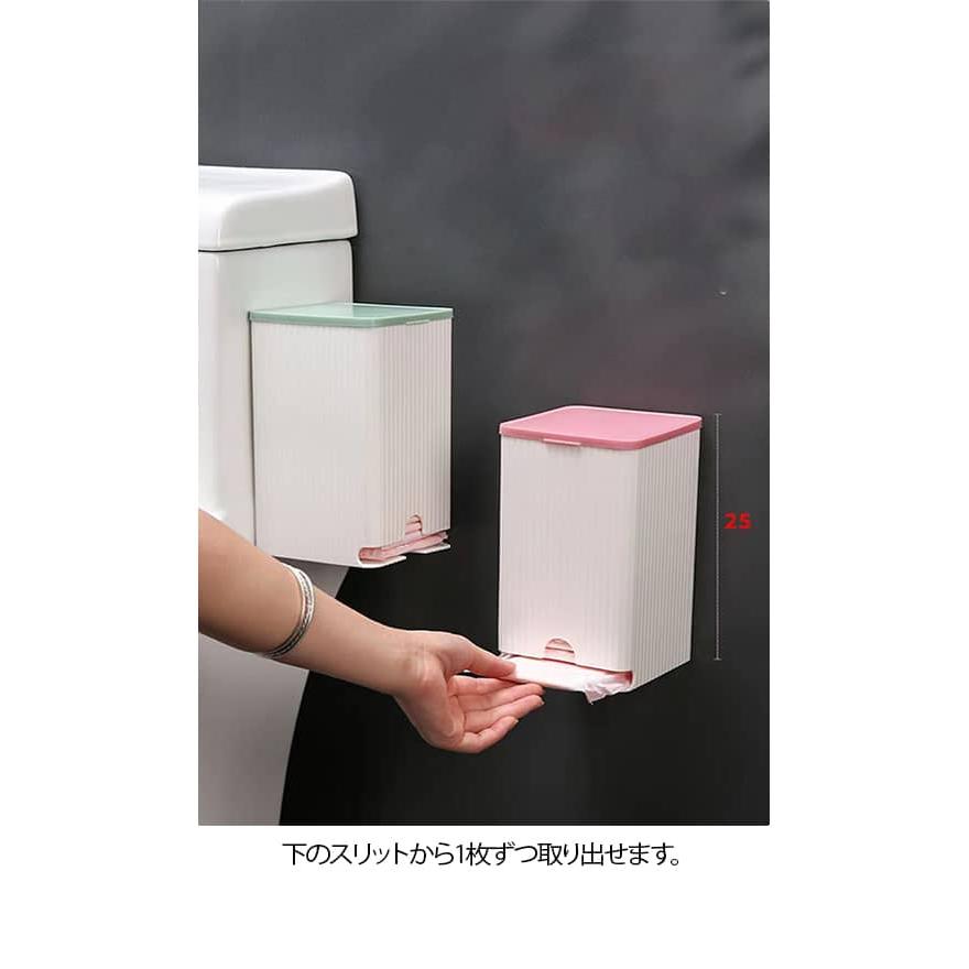 収納 【2個セット】サニタリー収納 収納ケース サニタリー 生理用