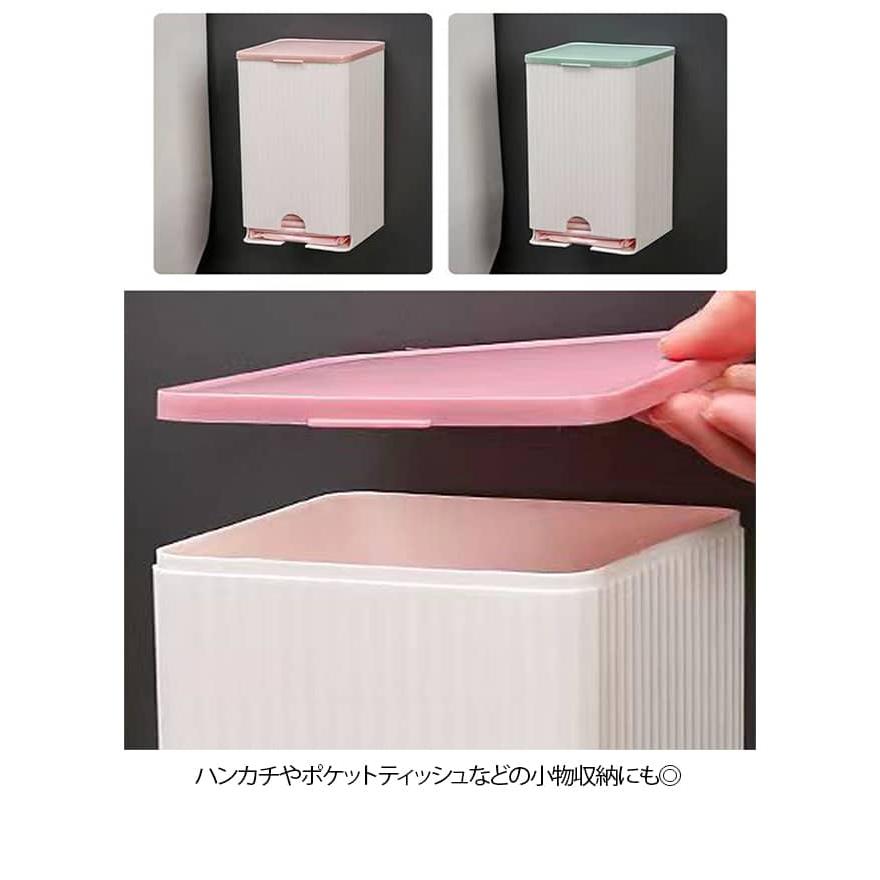 収納 【2個セット】サニタリー収納 収納ケース サニタリー 生理用