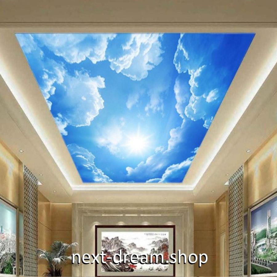 ３d 壁紙 1ピース 1m2 自然風景 青空 太陽 天井用 インテリア 装飾 寝室 リビング 耐水 防湿 H H Next Dream Shop 通販 Yahoo ショッピング