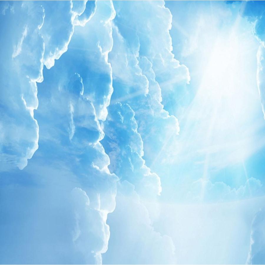 ３d 壁紙 1ピース 1m2 自然風景 青い空と白い雲 天井用 インテリア 装飾 寝室 リビング 耐水 防湿 H H Next Dream Shop 通販 Yahoo ショッピング