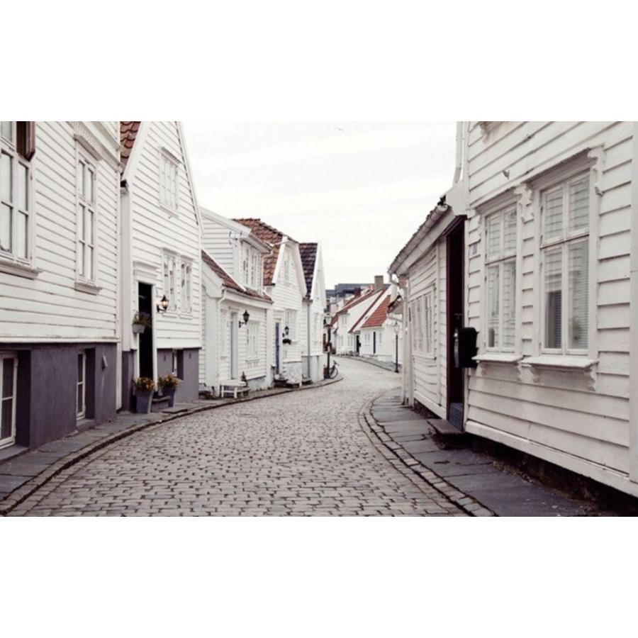 即納 大特価 カスタム３d壁紙 1ピース 1m2 ヨーロッパの街並み 風景 白い家 お店 クロス張替 M 壁紙 Www Theopengate Org Il