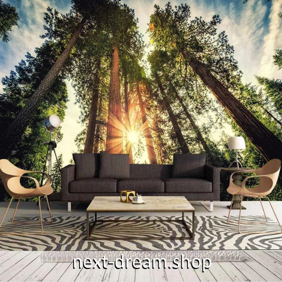 壁紙 自然 太陽 そびえ立つ木 青空 1ピース 1m2 サイズカスタマイズ可能 部屋 ショップ 店舗 M061 M061 Next Dream Shop 通販 Yahoo ショッピング