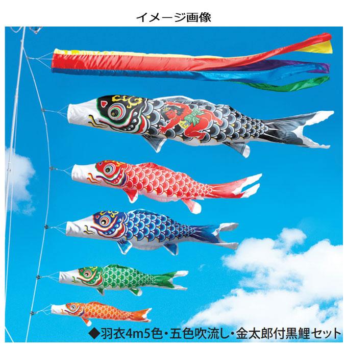 鯉のぼり ワタナベ鯉 こいのぼり単品 羽衣錦鯉 青鯉 2m ちかく 鯉のぼり ワタナベ鯉 こいのぼり単品 羽衣錦鯉 青鯉 2m ちかく
