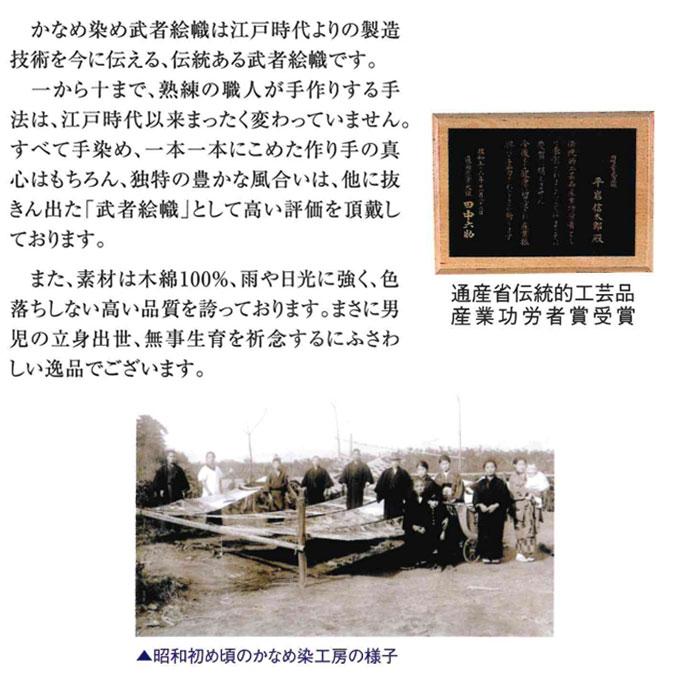 ワタナベ鯉のぼり 【家紋・名入れ代込み】 2025年度 新作 日本製 ワタナベ鯉のぼり 【家紋・名入れ代込み】 2025年度 新作 日本製