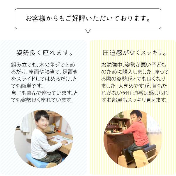 プロポーションチェア 学習チェア キッズチェア 学習椅子 イス いす リビング学習 オンライン授業 在宅勤務 テレワーク キャスター付 CH-910 Keepy キーピィの画像