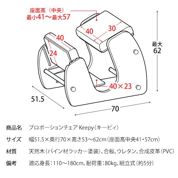 プロポーションチェア 学習チェア キッズチェア 学習椅子 イス いす リビング学習 オンライン授業 在宅勤務 テレワーク キャスター付 CH-910 Keepy キーピィの画像