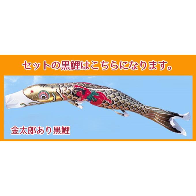 こいのぼり ワタナベ鯉のぼり 大型セット 黄金錦鯉 五色吹流し 金太郎 