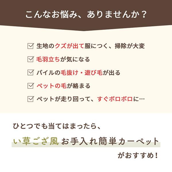 ポリプロピレンカーペット BR/GY/GN 江戸間8畳 耐久性 リバーシブル ウォッシャブル 洗える お掃除カンタン (ミーサ)｜next-life-style｜04