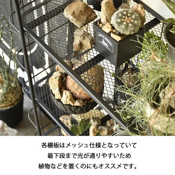 GART（ガルト） [LD シェルフラック80] 棚 飾り ディスプレイ メッシュ