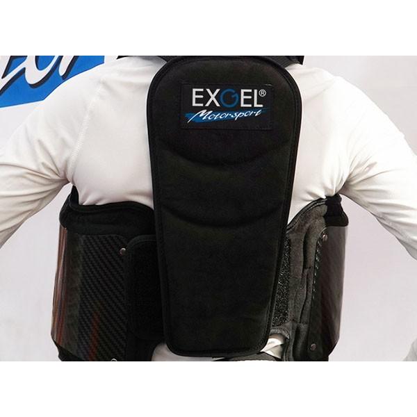 EXGEL エクスジェル ドライカーボンベスト17 レーシングカート用 EXGEL エクスジェル ドライカーボンベスト17 レーシングカート用