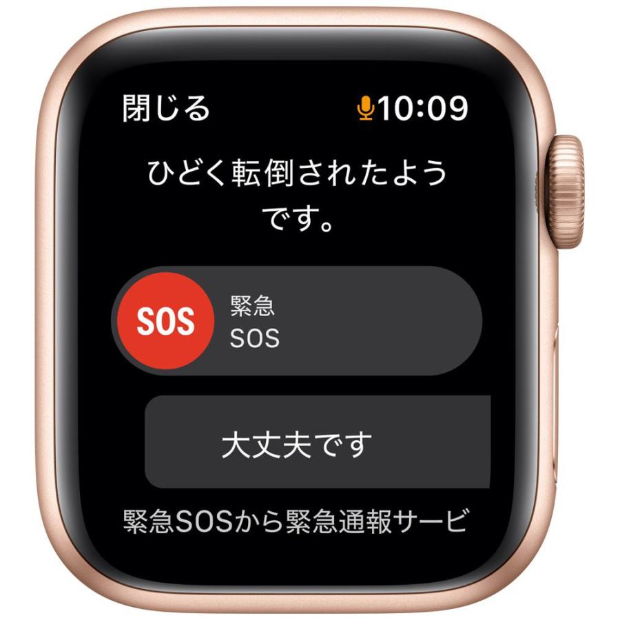 Apple Watch SE アップルウォッチ GPS 40mm ゴールド Apple Watch SE アップルウォッチ GPS 40mm ゴールド